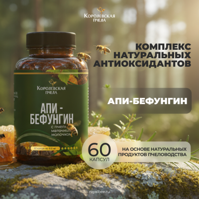 АПИ-БЕФУНГИН, 60 капсул